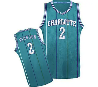 Charlotte Hornets Men's Larry Johnson Light Blue Swingman Throwback Jersey